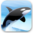 Programikonen: Orca Browser