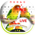 プログラムのアイコン：Love Birds Live Keyboard