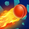 Programikonen: Cricket Champions