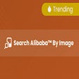 Icoon van programma: Search Alibaba™ By Image