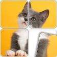 Icon of program: Swappy  Jigsaw Puzzles