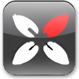 Icon of program: Sagelight