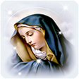 プログラムのアイコン：Catholic Live Wallpaper