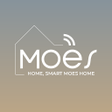プログラムのアイコン：MOES