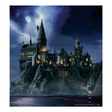 Icon of program: V1 Hogwarts School of Wit…