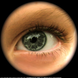 Icon of program: Consult