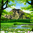 Programikonen: Summer Live Wallpaper
