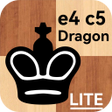 プログラムのアイコン：Chess - Dragon variation