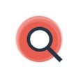 Websitescanner Custom Schema icon