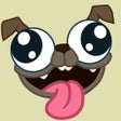 Pug Rapids icon