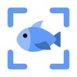 Programikonen: Fish Identifier by Pictur…