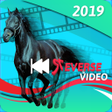 プログラムのアイコン：Reverse Video
