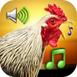 Programikonen: Funny Alarm Clock Rington…