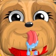 Programikonen: YorkieMoji