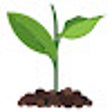 Icon of program: Nature Wallpapers HD