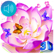プログラムのアイコン:Lotus Live Wallpapers