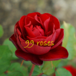 Programikonen: 脱出ゲーム　99本のバラ