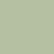 sage tab icon