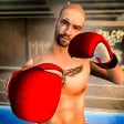 程序图标：Mega Punch Boxing Game