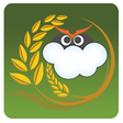 プログラムのアイコン：SkyGreen