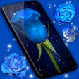 Programikonen: Blue Rose Live Wallpaper …