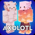Иконка программы: Axolotl Skins Minecraft P…