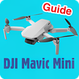 Programikonen: dji mavic mini guide