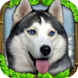 Stray Dog Simulator icon