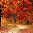 Icon of program: Autumn Wallpaper
