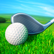 程序图标：Golf Strike