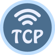 程序图标：TCP Socket