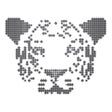 Ikona programu: Tiger Algebra Solver