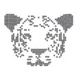 Ikon program: Tiger Algebra Solver