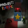 The Project Playtime