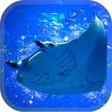 プログラムのアイコン：Aquarium manta simulation…