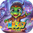 프로그램 아이콘: NN567Celest
