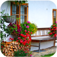 Icon of program: Terrace garden tips and m…