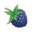 Berrium icon