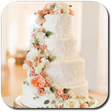 Programikonen: Wedding Cakes