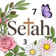 Programın simgesi: Selah Color
