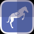Horse Racing News  Videos