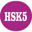 Programikonen: HSK 5 Simulator