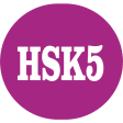 HSK 5 Simulator