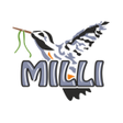 程序图标:Milli yaka