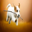 Иконка программы: Jack Russell Terrier Wall…