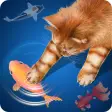 Cat- Fisherman