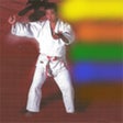 Ícone do programa: Judo Gokyo