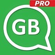 程序图标：GB WMassapp Pro Update