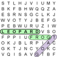 Programikonen: Word Search Ultimate