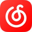 Programikonen: 网易云音乐下载助手